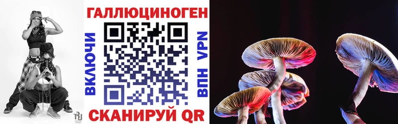 Галлюциногенные грибы Cubensis  KRAKEN вход  Корсаков 