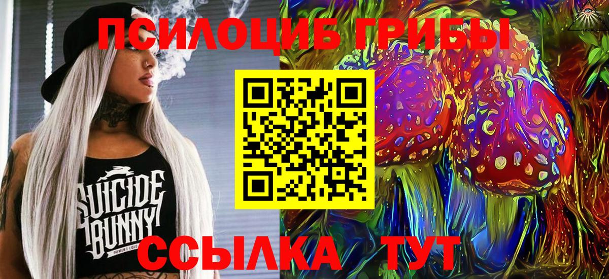даркнет сайт  Псилоцибиновые грибы мухоморы  Вход с VPN  Корсаков 